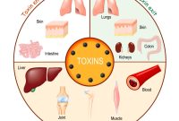 Pentingnya Detoksifikasi Tubuh untuk Kesehatan Optimal - Aplikasi SIMRS ... Bagaimana Cara Melakukan Detoksifikasi Tubuh Dengan Aman