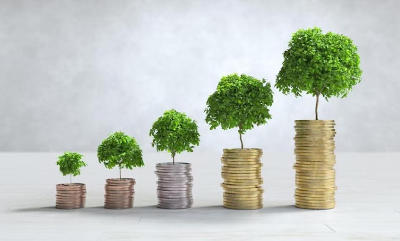 Tips Berinvestasi Untuk Pemula Tanpa Rugi