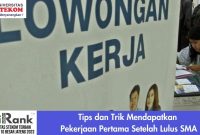 Strategi Mencari Pekerjaan Setelah Lulus Kuliah